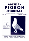 Magazine Cover